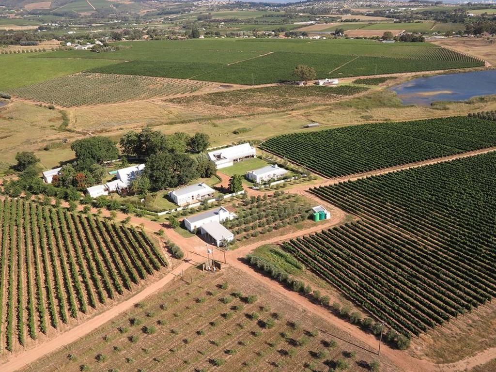 Klein Welmoed Luxury Guest House Municipalità locale di Municipalità locale di Stellenbosch Esterno foto