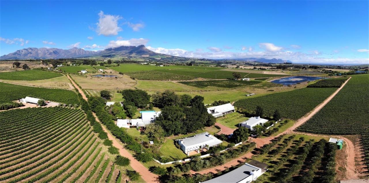 Klein Welmoed Luxury Guest House Municipalità locale di Municipalità locale di Stellenbosch Esterno foto
