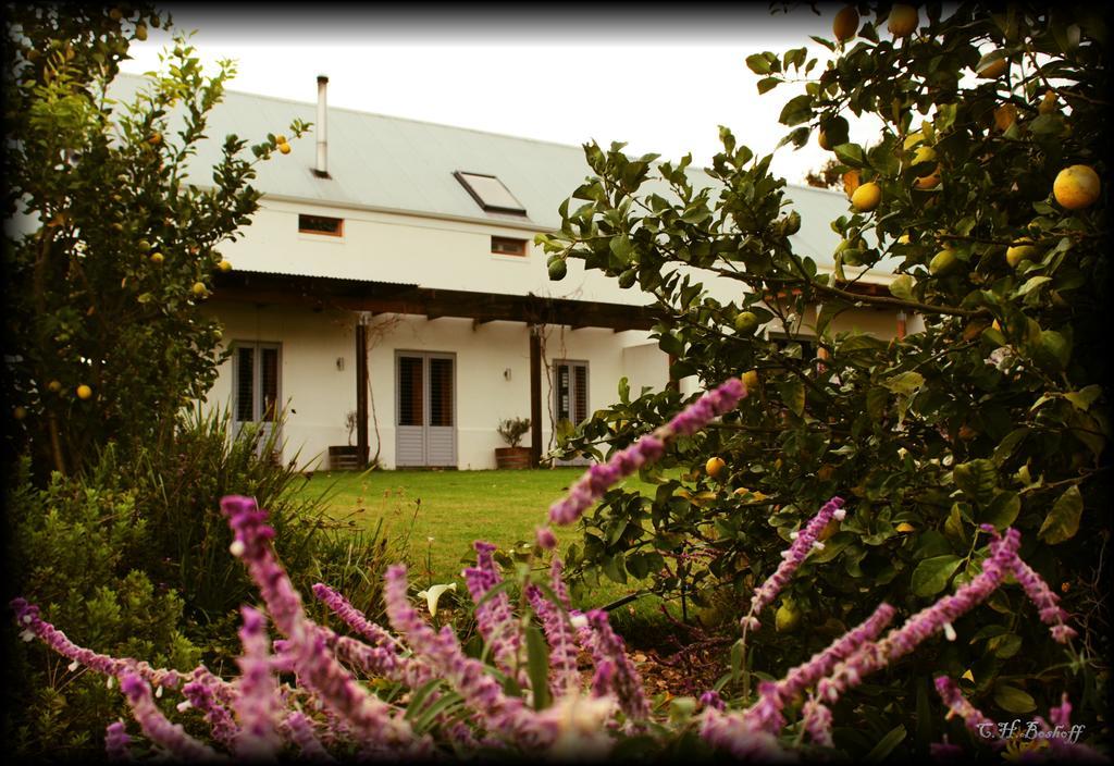 Klein Welmoed Luxury Guest House Municipalità locale di Municipalità locale di Stellenbosch Esterno foto