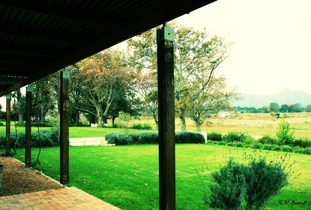 Klein Welmoed Luxury Guest House Municipalità locale di Municipalità locale di Stellenbosch Esterno foto