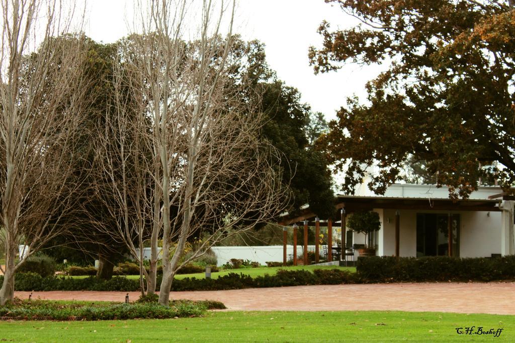 Klein Welmoed Luxury Guest House Municipalità locale di Municipalità locale di Stellenbosch Esterno foto