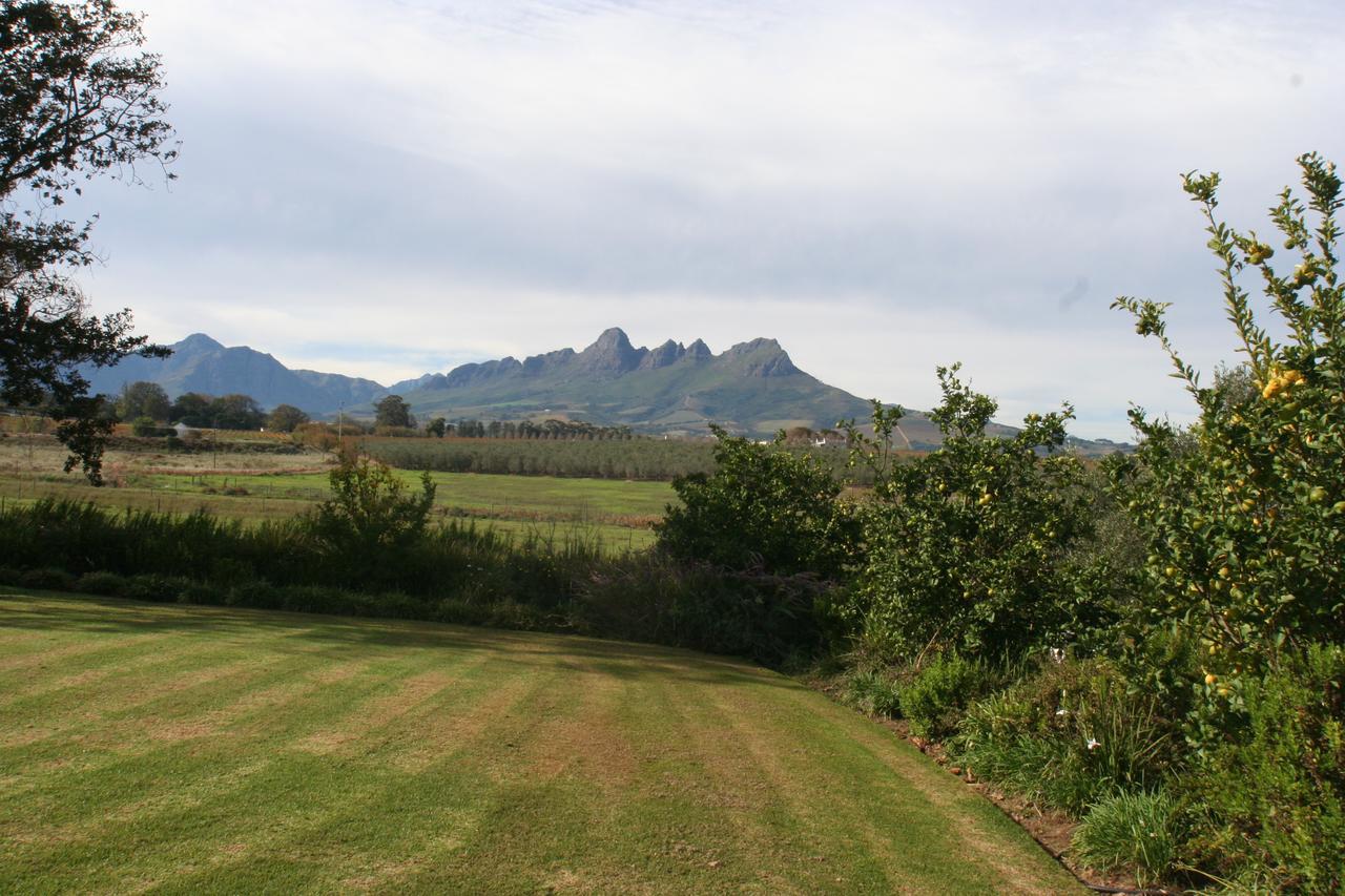 Klein Welmoed Luxury Guest House Municipalità locale di Municipalità locale di Stellenbosch Esterno foto
