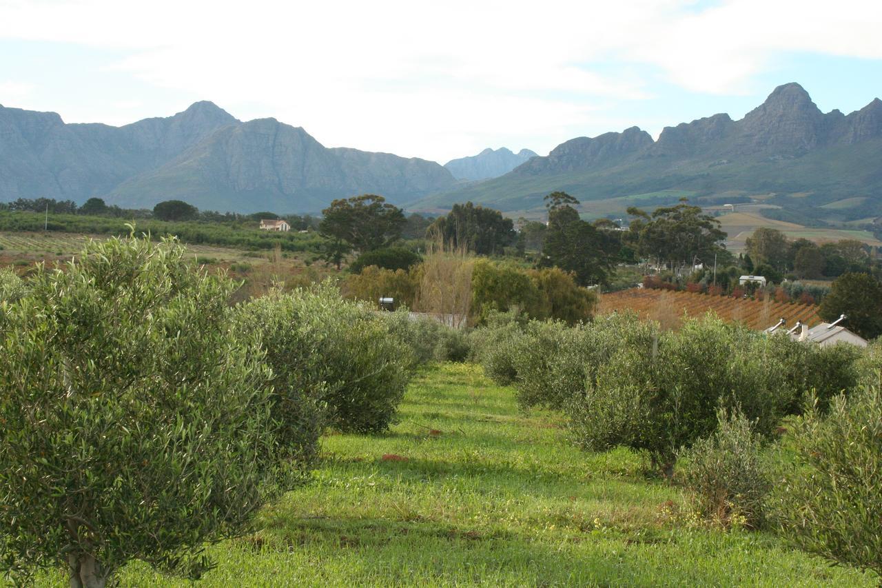 Klein Welmoed Luxury Guest House Municipalità locale di Municipalità locale di Stellenbosch Esterno foto