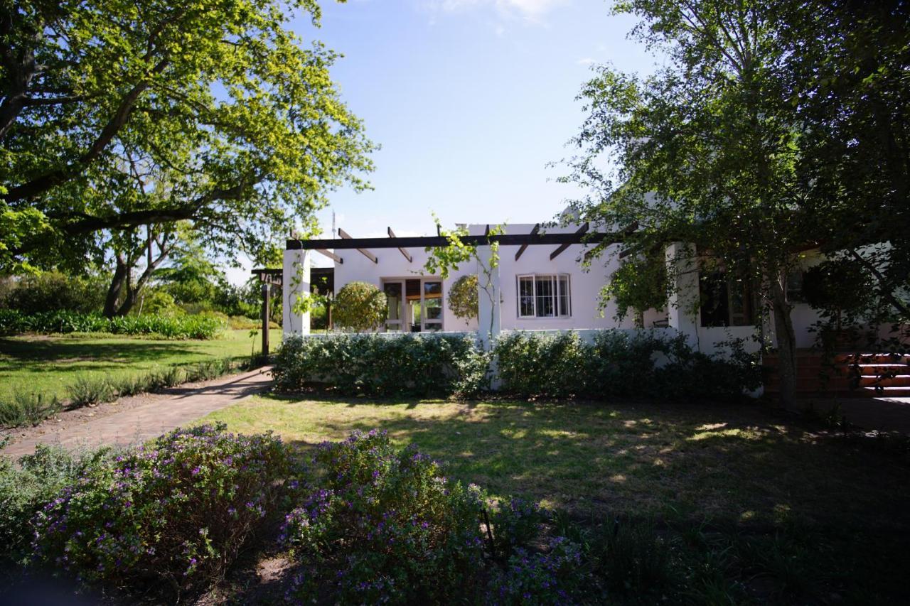 Klein Welmoed Luxury Guest House Municipalità locale di Municipalità locale di Stellenbosch Esterno foto