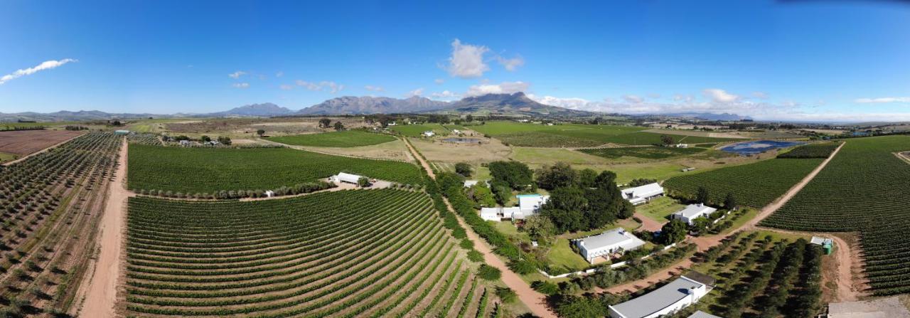 Klein Welmoed Luxury Guest House Municipalità locale di Municipalità locale di Stellenbosch Esterno foto